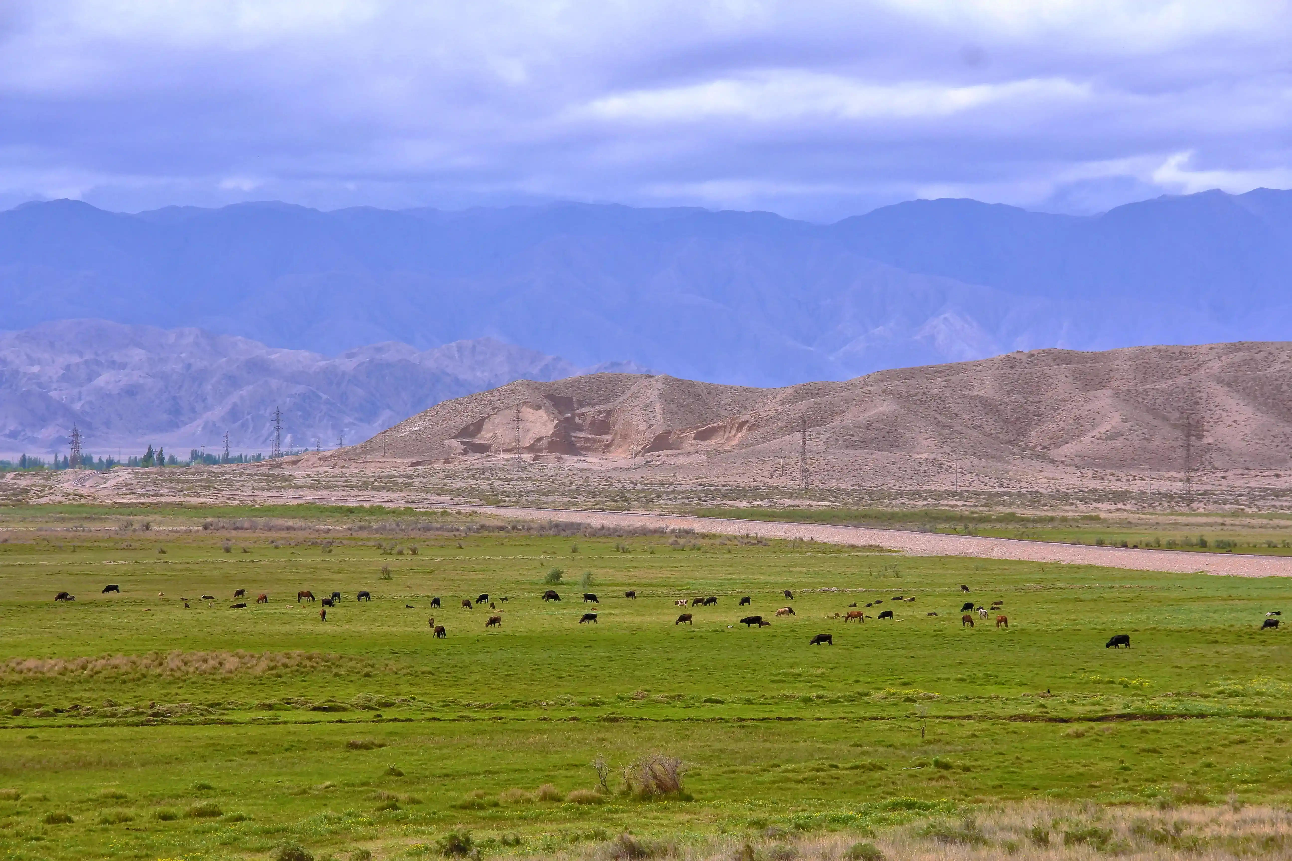 Son-Kul and the Traditions of the Berkutchi